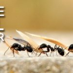 Tasavvufun Başlangıç Noktası “Edep”