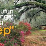 Hizmete Gönül Verenler